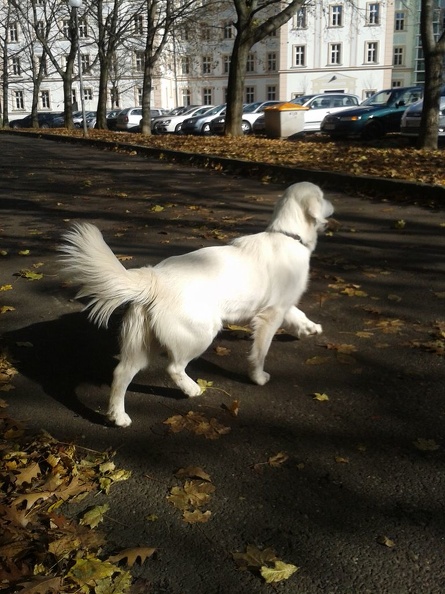 k-2012-11-0712.29.39.jpg