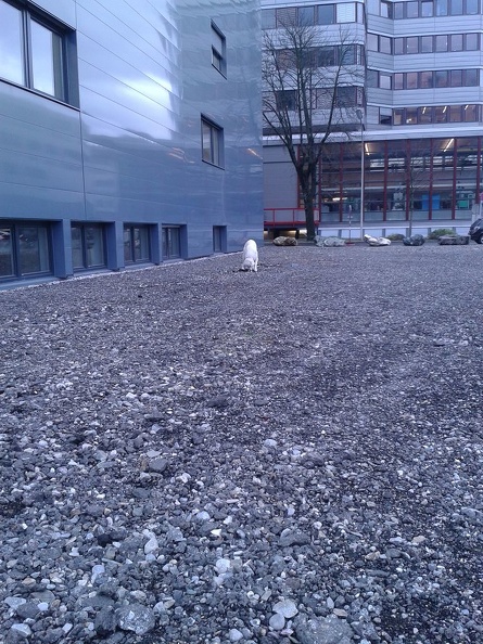 k-2012-11-1313.28.31.jpg