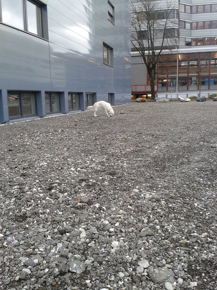 k-2012-11-1313.28.51.jpg
