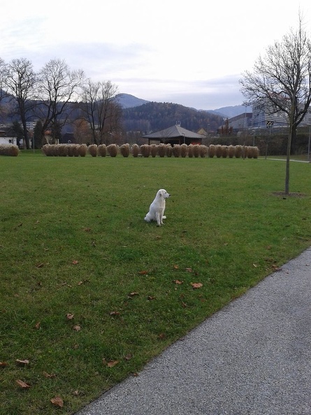 k-2012-11-2214.59.08.jpg