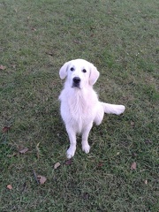 k-2012-11-2215.00.43