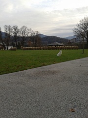 k-2012-11-2215.01.49