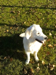 k-2012-11-2614.30.55