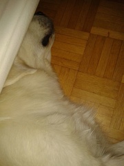 k-2012-11-2707.17.55