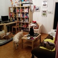 k-IMG 20141030 162937
