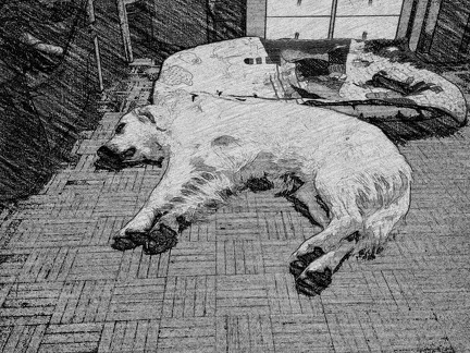 k-PaperCamera2014-10-30-23-18-51