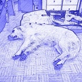 k-PaperCamera2014-10-30-23-21-55