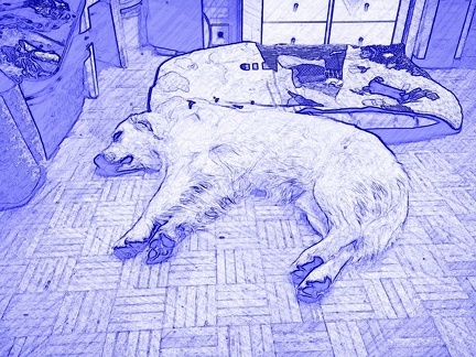 k-PaperCamera2014-10-30-23-21-55