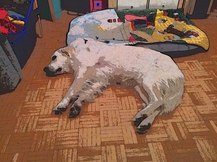 k-PaperCamera2014-10-30-23-22-43