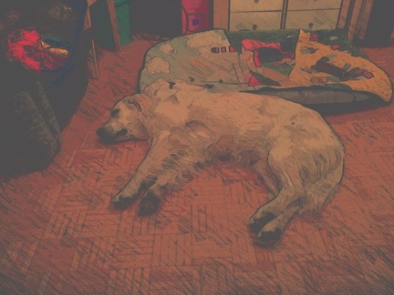 k-PaperCamera2014-10-30-23-24-40