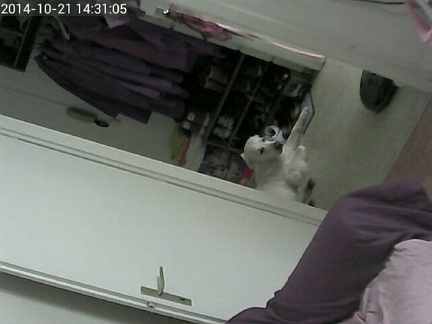 k-webcam-2014-10-21-14-31-05