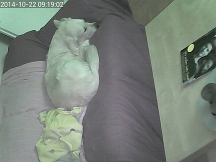 k-webcam-2014-10-22-09-19-02