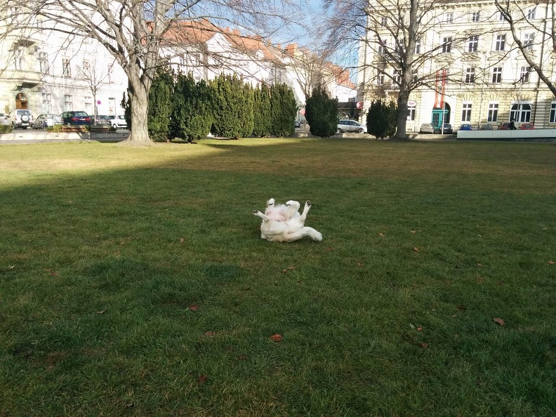 k-2015-12-2213.25.45-1.jpg