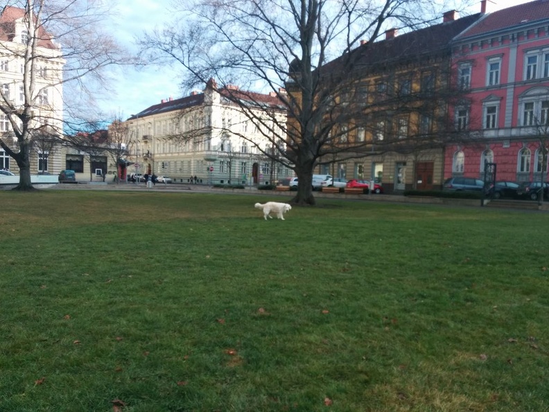 k-2015-12-2213.26.34.jpg