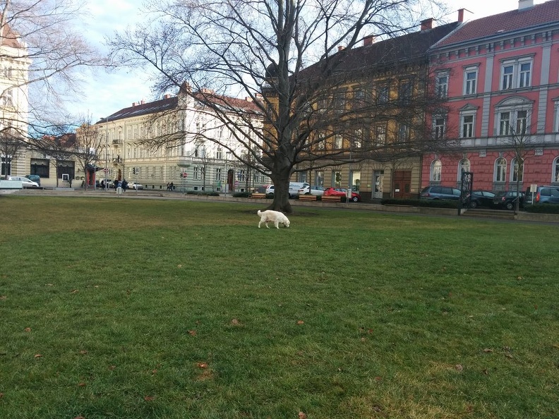 k-2015-12-2213.26.35.jpg