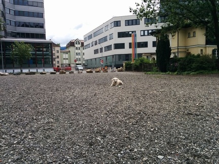 k-IMG 20150524 114246