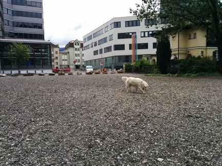 k-IMG 20150524 114249