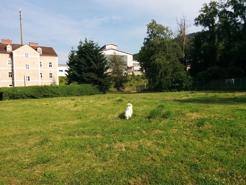 k-IMG 20150601 083855