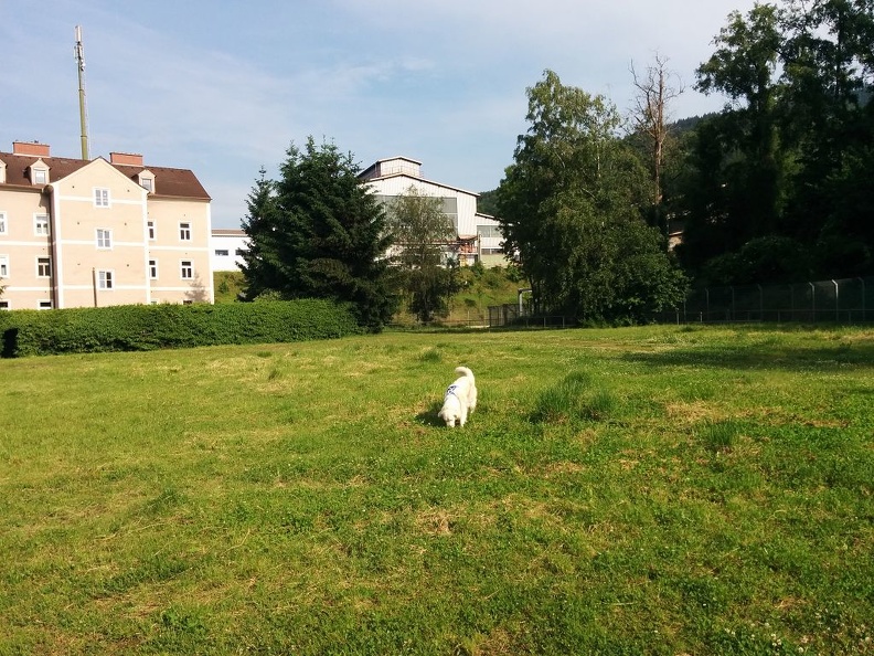 k-IMG 20150601 083856