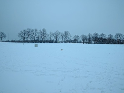 k-IMG 20170202 163419