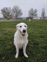 k-IMG 20171123 142122