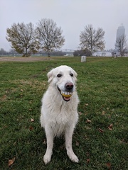 k-IMG 20171123 142122 1