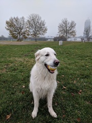 k-IMG 20171123 142123