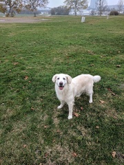 k-IMG 20171123 144104