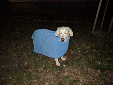 k-IMG 20171128 165107