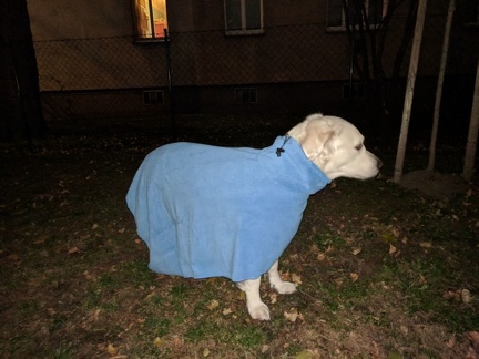 k-IMG 20171128 165113