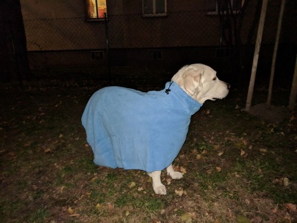 k-IMG 20171128 165118