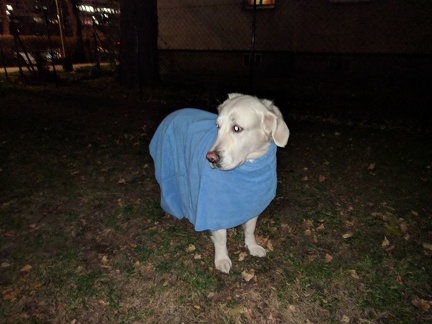 k-IMG 20171128 165124