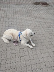 k-IMG 20180925 175437