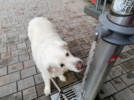 k-IMG 20220729 193720