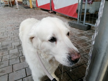 k-IMG 20220729 193722