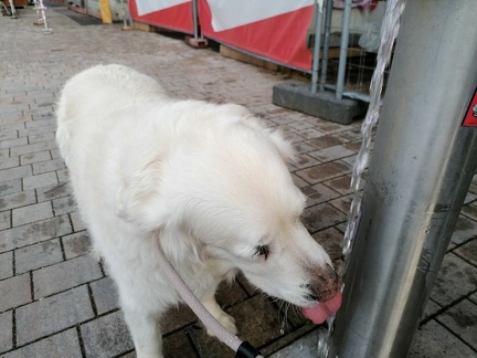 k-IMG 20220729 193723