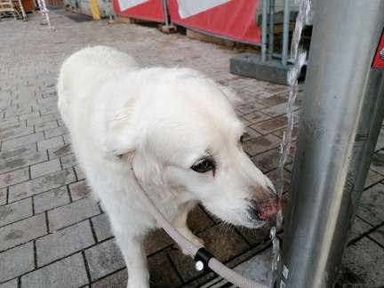 k-IMG 20220729 193724