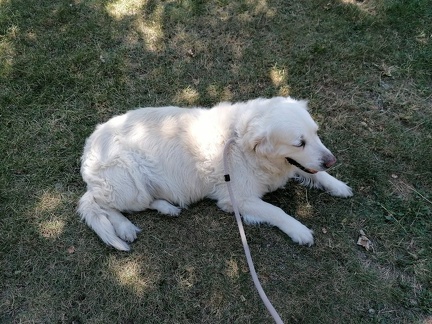 k-IMG 20220803 131407