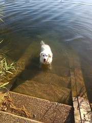 k-IMG 20220804 190006