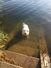 k-IMG 20220804 190007