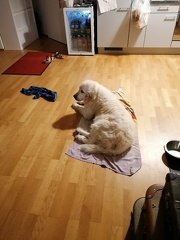 k-IMG 20220804 213318