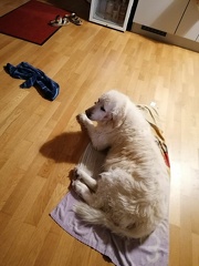 k-IMG 20220804 213323