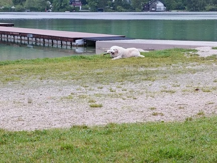 k-IMG 20220822 085853