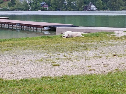 k-IMG 20220822 085854