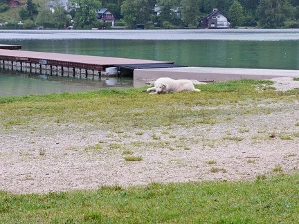 k-IMG 20220822 085855