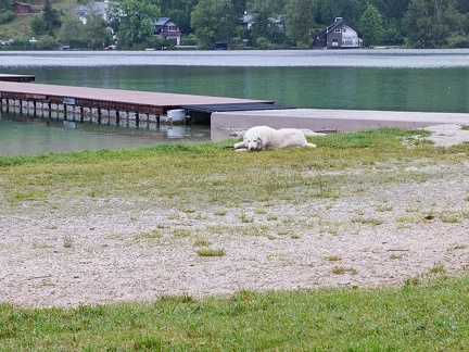 k-IMG 20220822 085856