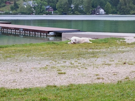 k-IMG 20220822 085857